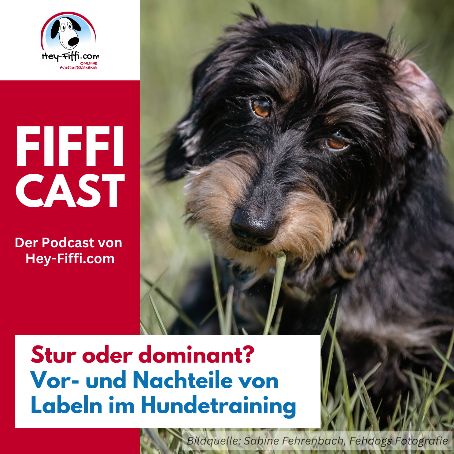 Hey-Fiffi.com
