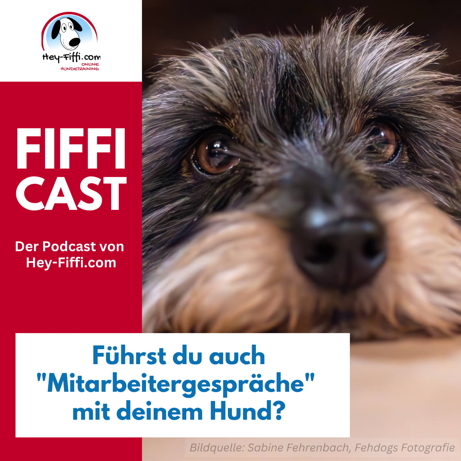 Hey-Fiffi.com