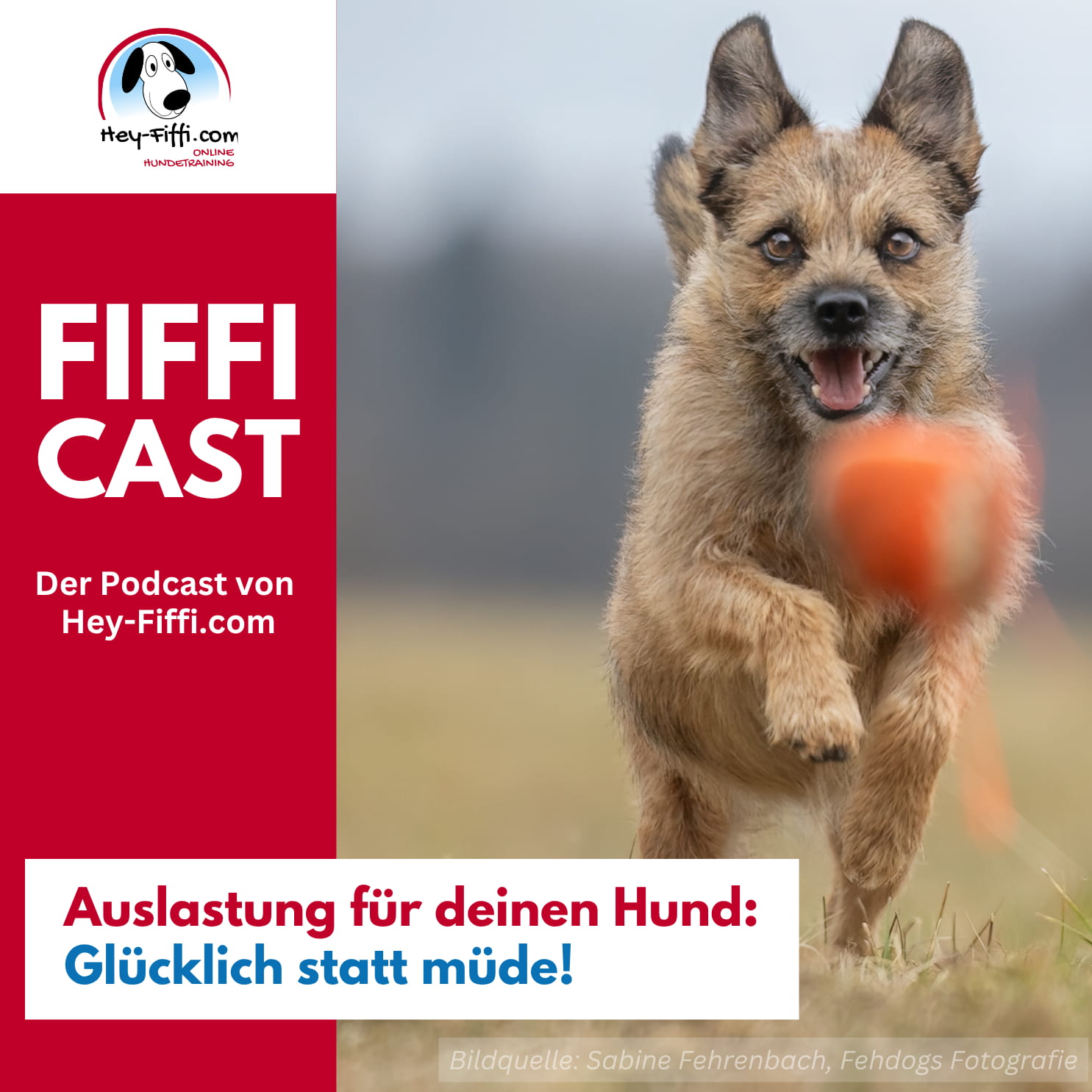 Hey-Fiffi.com