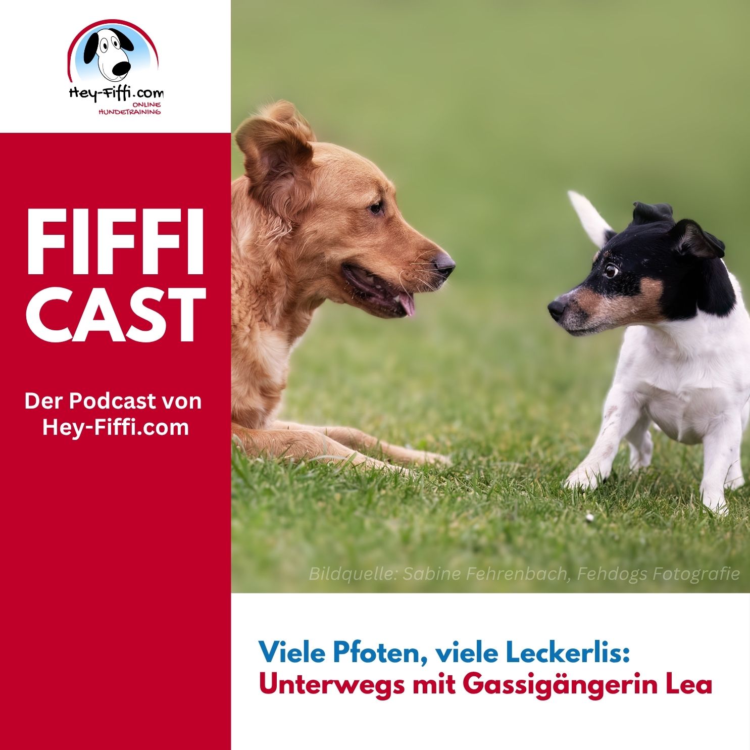 Hey-Fiffi.com