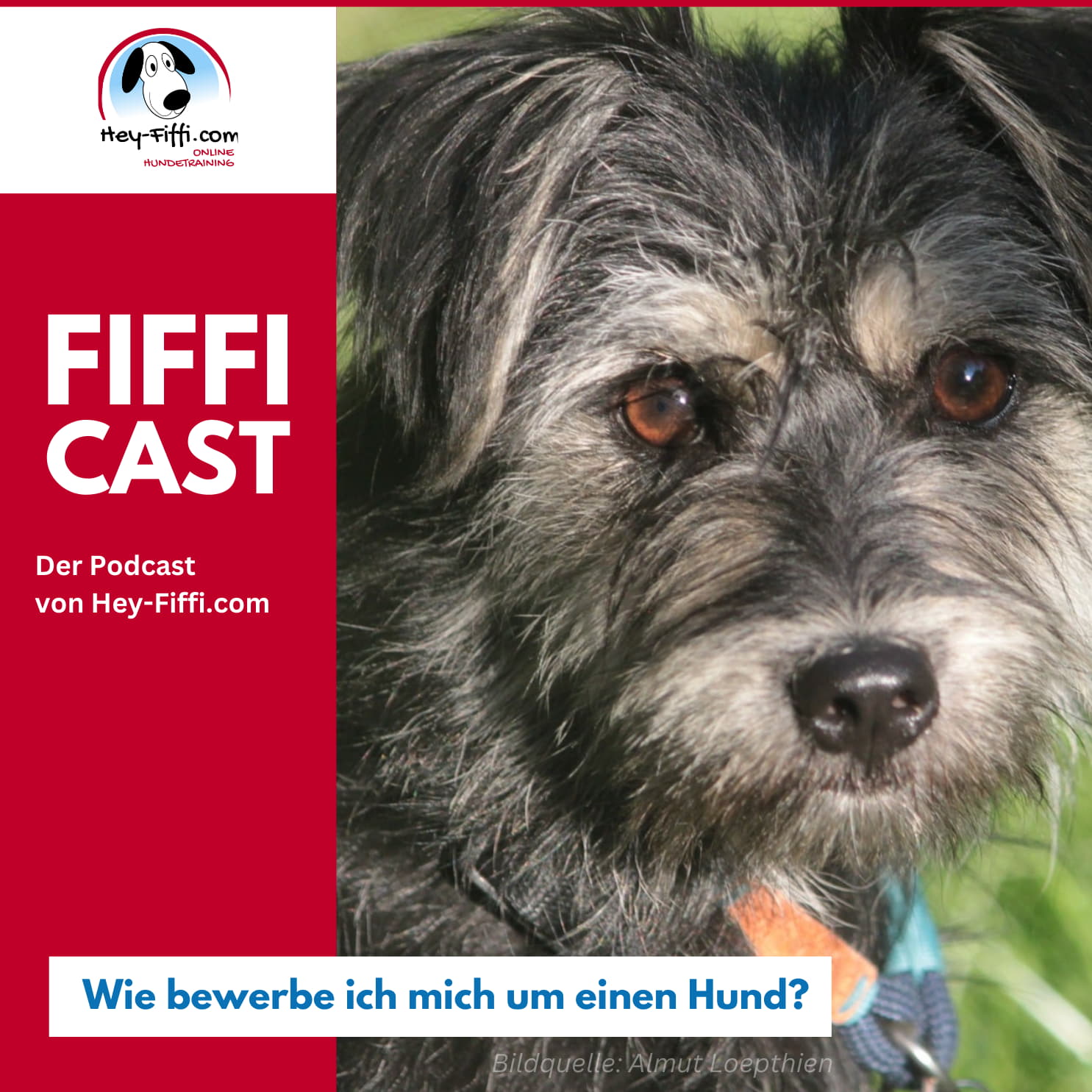 Hey-Fiffi.com