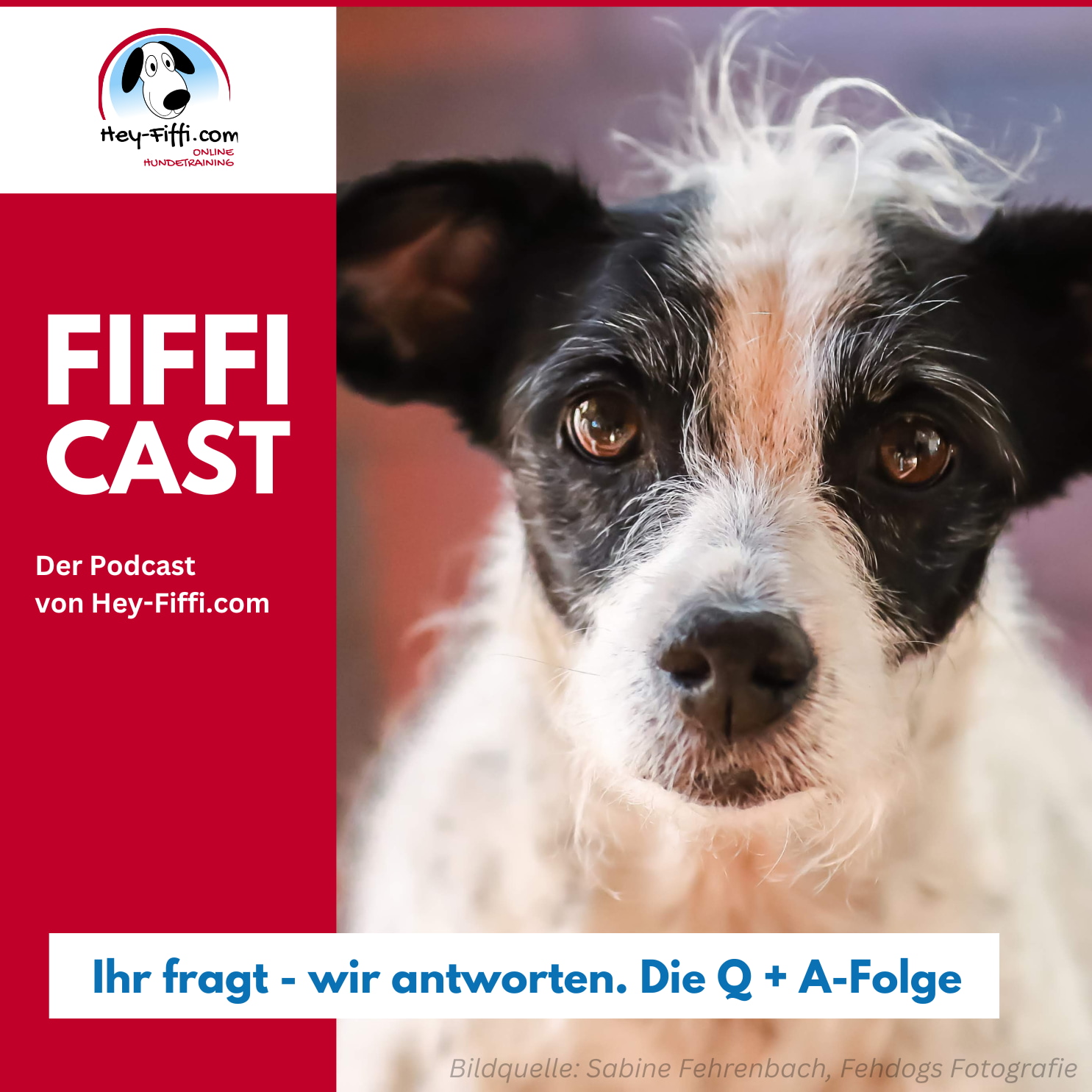 Hey-Fiffi.com