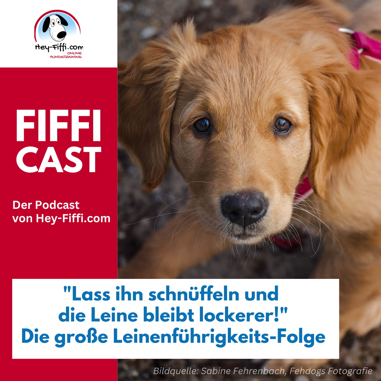 Hey-Fiffi.com