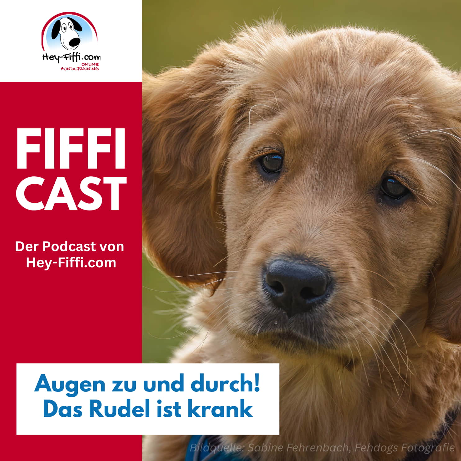 Hey-Fiffi.com