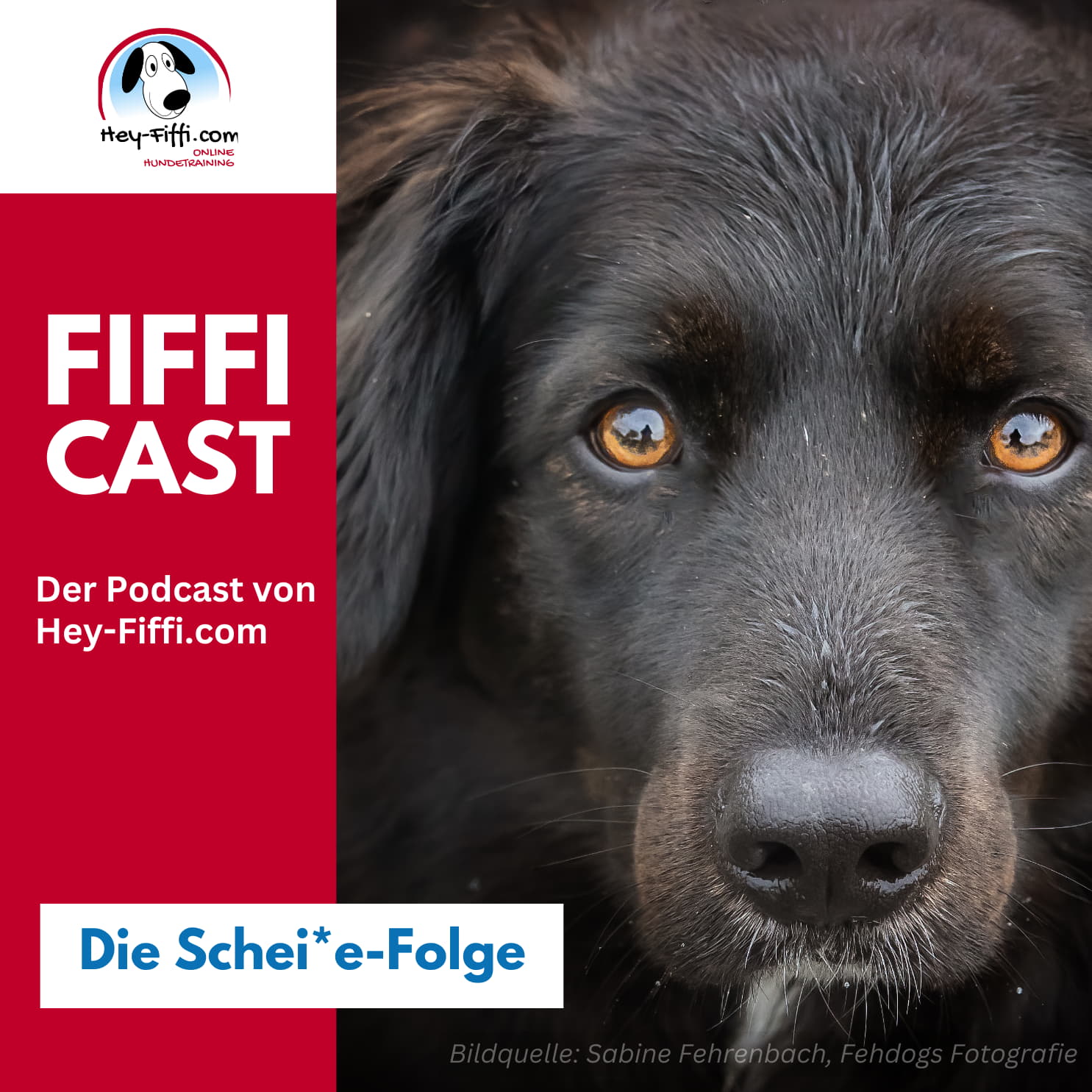 Hey-Fiffi.com