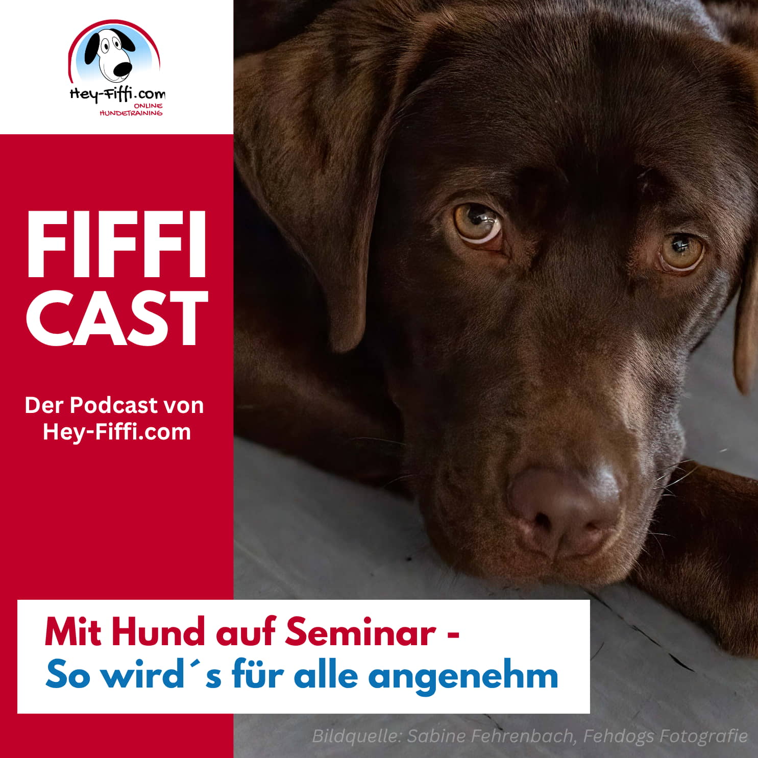 Hey-Fiffi.com