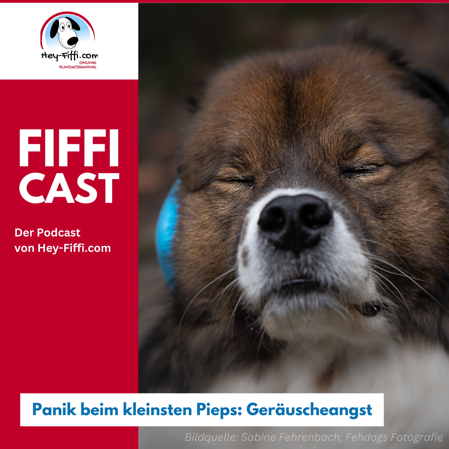 Hey-Fiffi.com