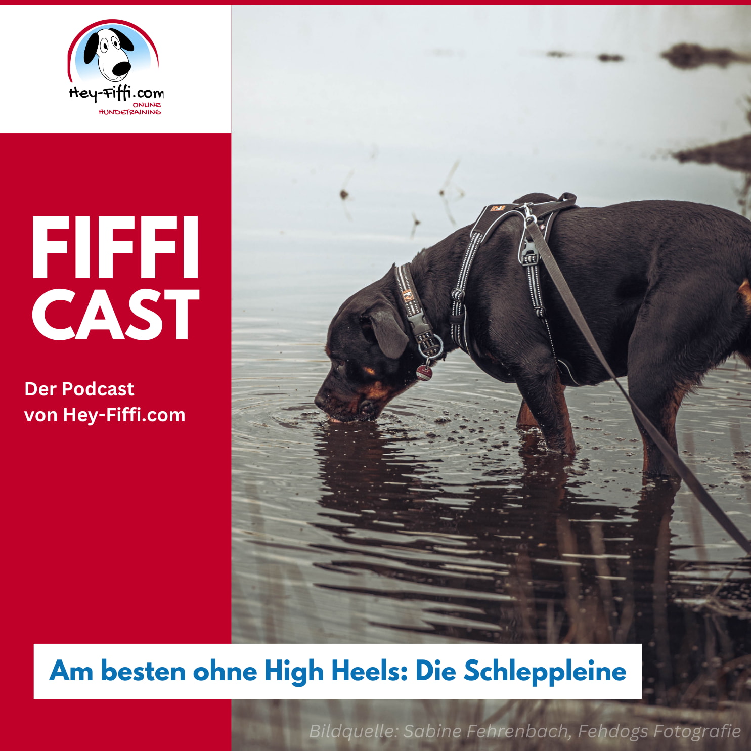 Hey-Fiffi.com