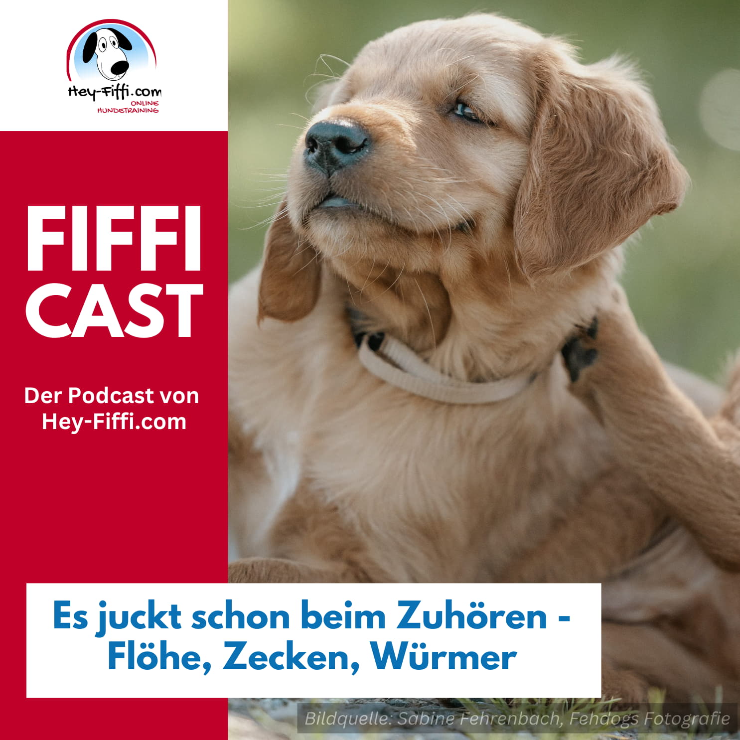 Hey-Fiffi.com