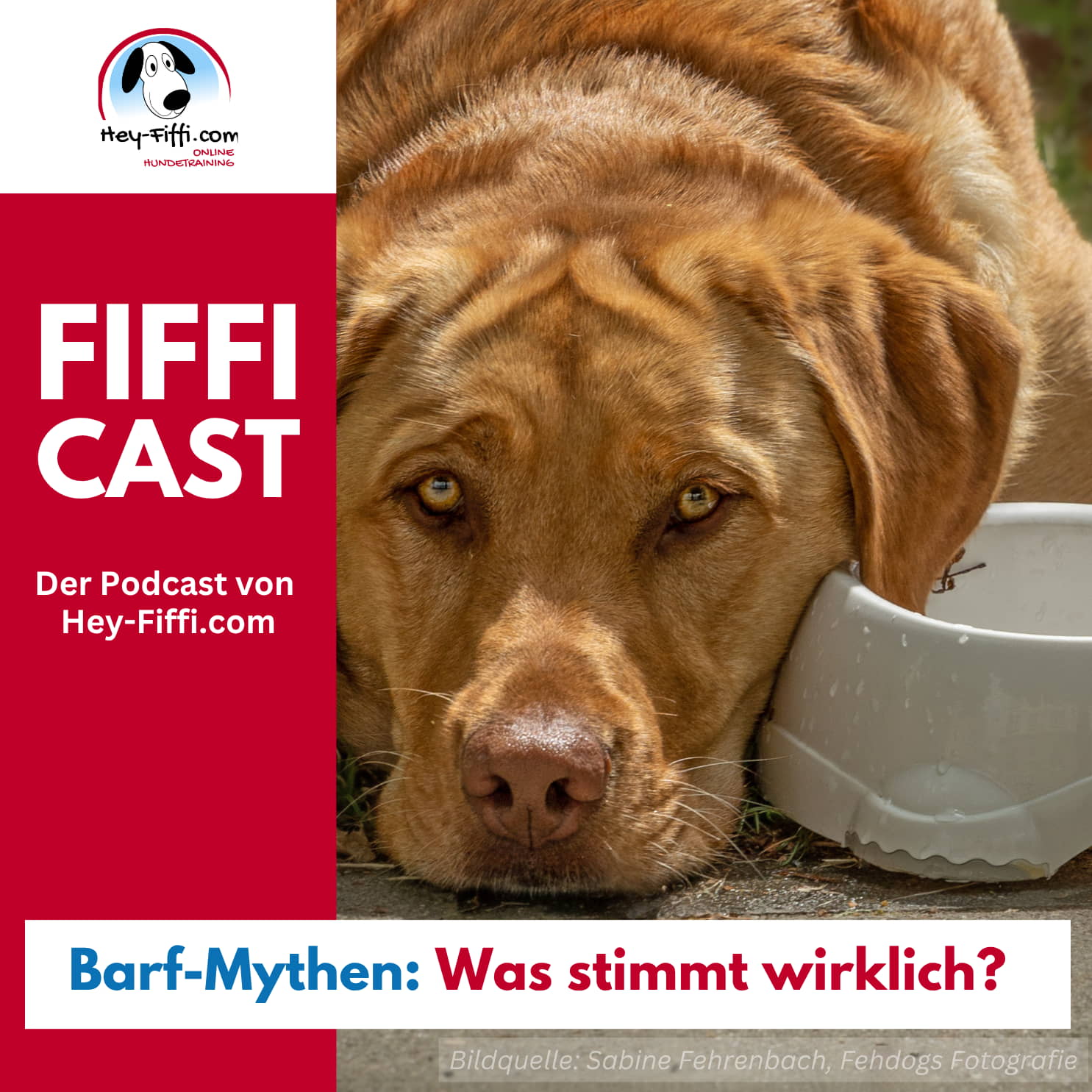 Hey-Fiffi.com