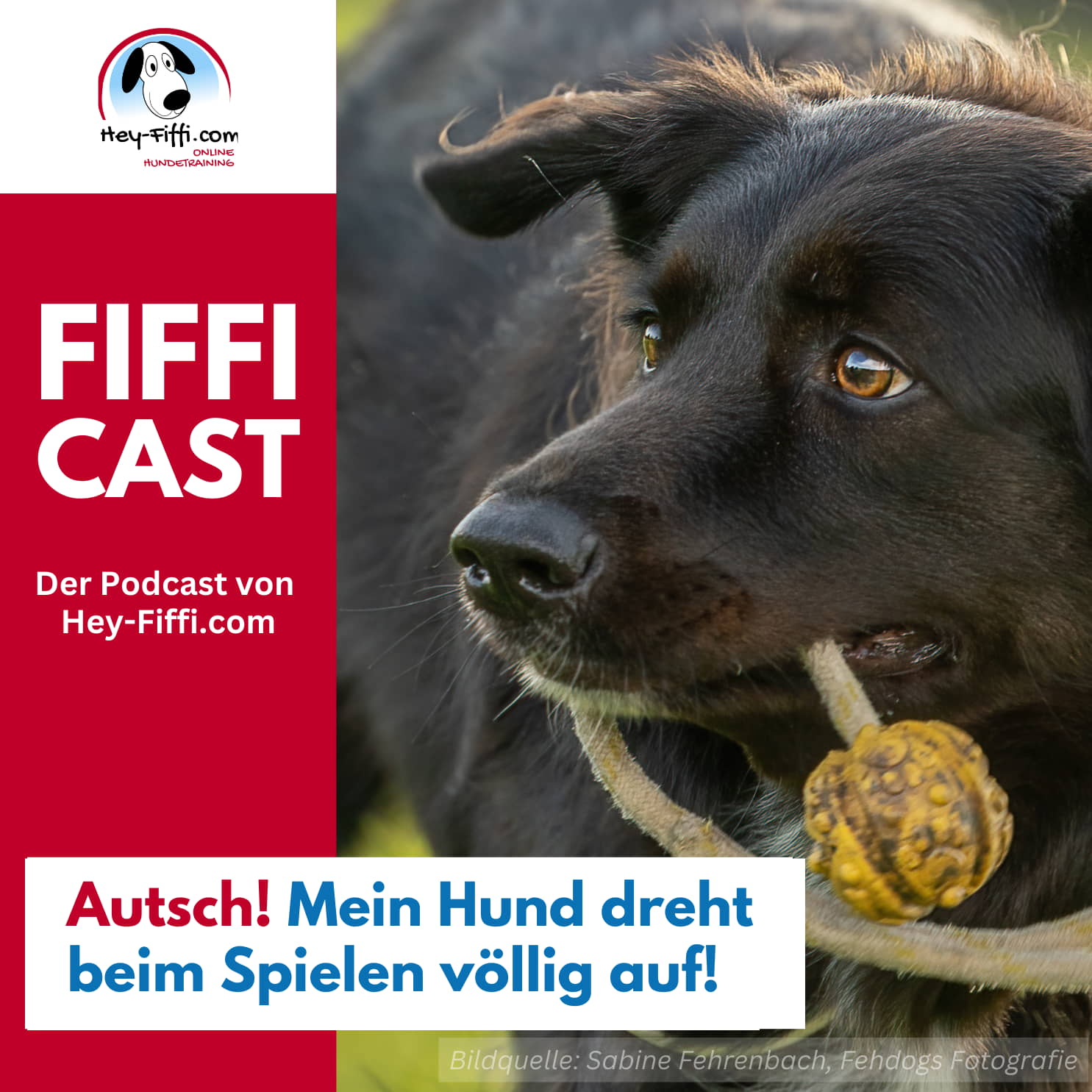 Hey-Fiffi.com