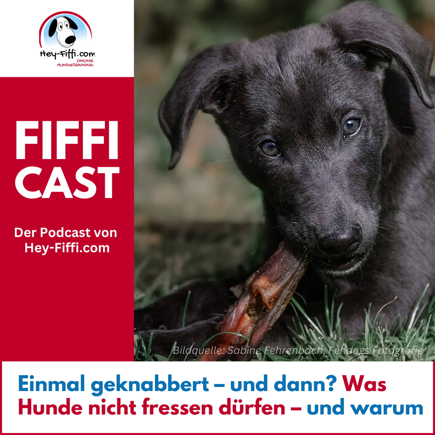 Hey-Fiffi.com