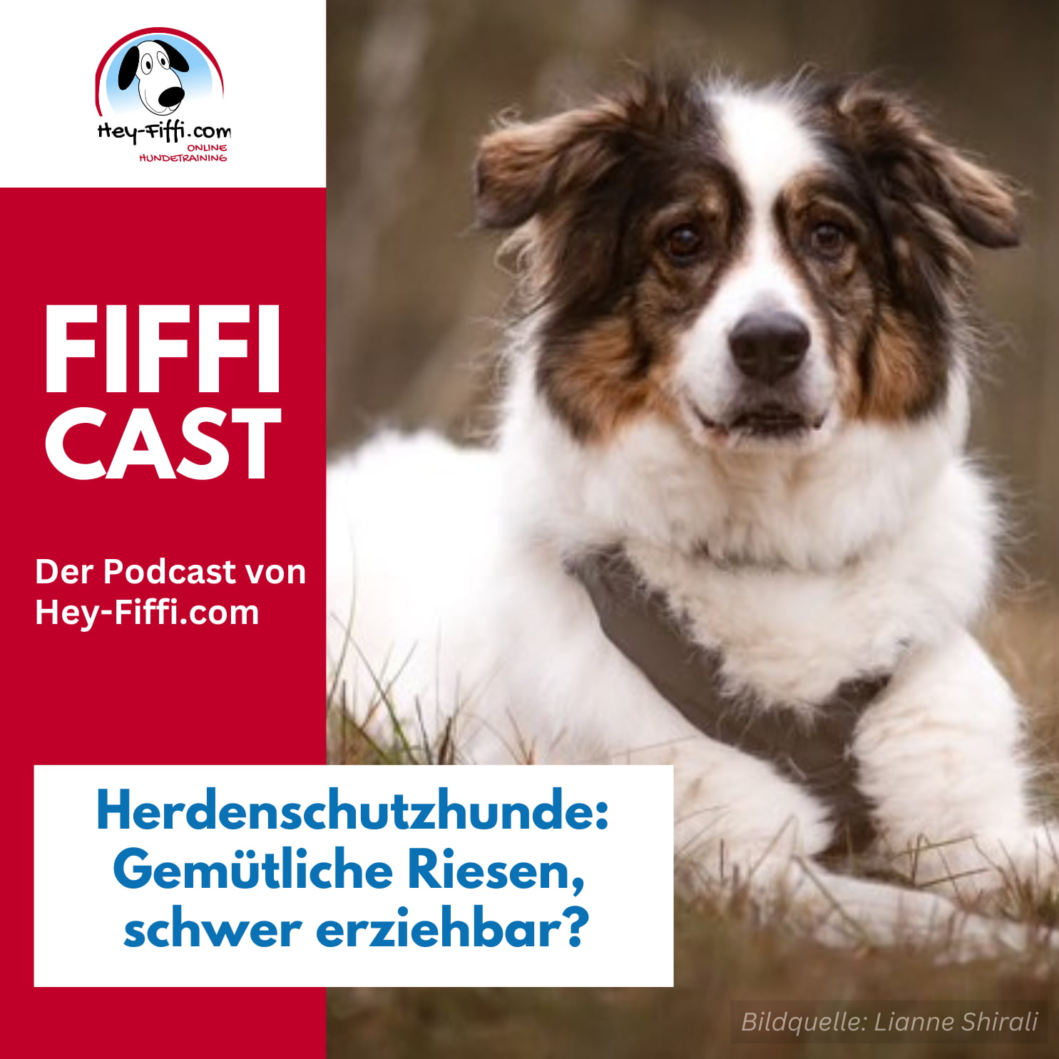 Hey-Fiffi.com