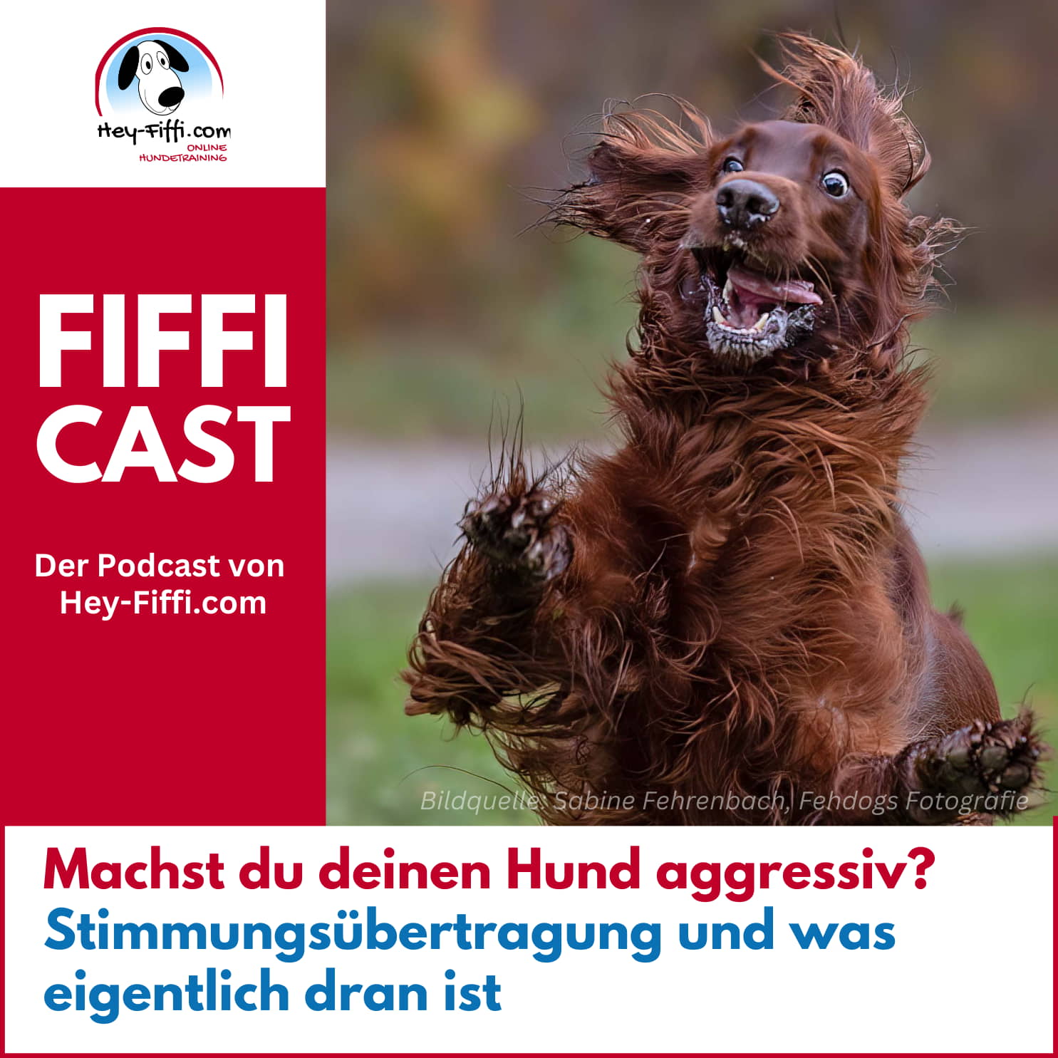 Hey-Fiffi.com