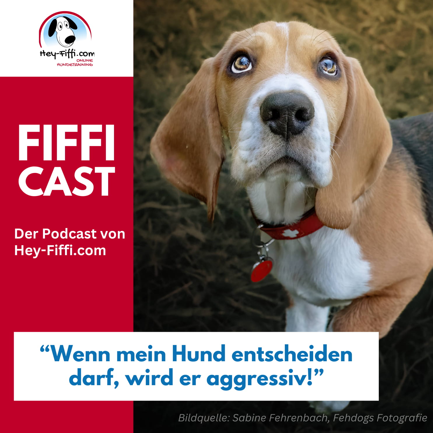 Hey-Fiffi.com