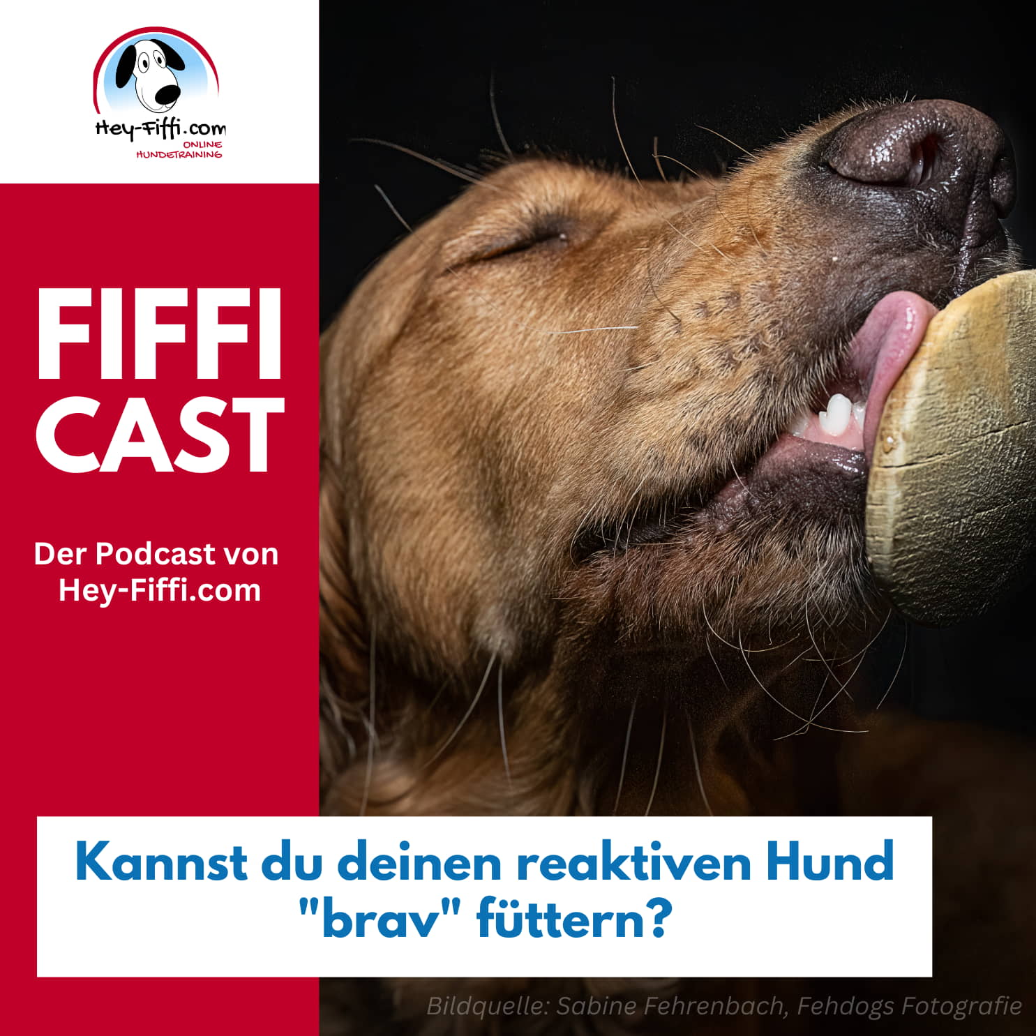 Hey-Fiffi.com