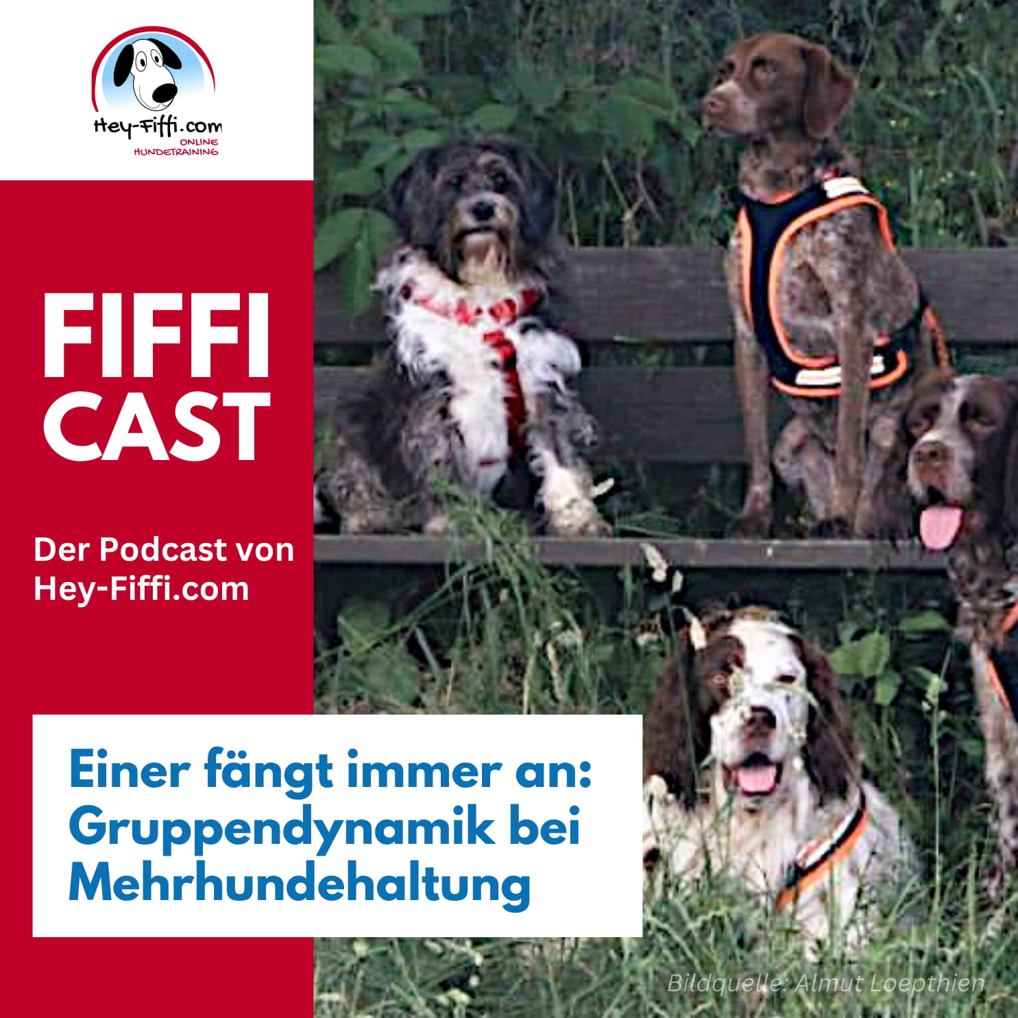 Hey-Fiffi.com