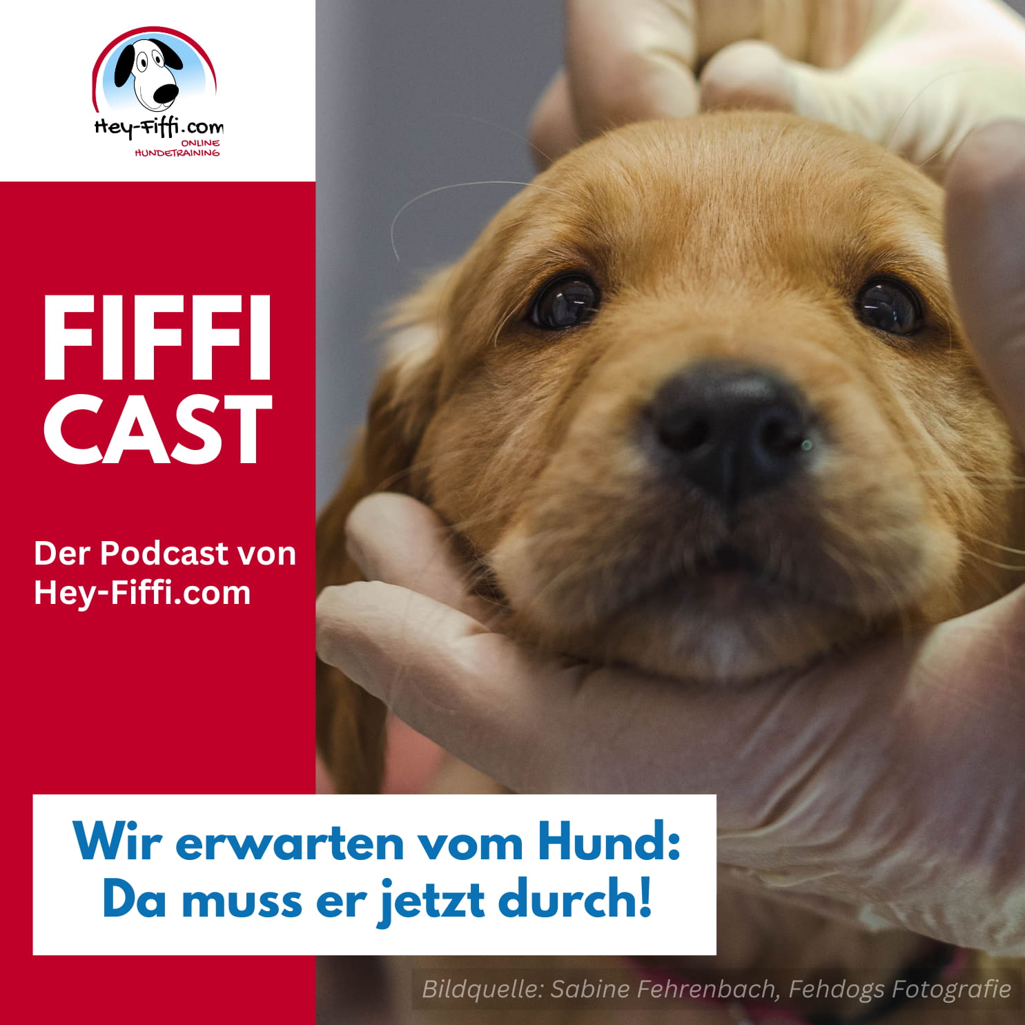 Hey-Fiffi.com