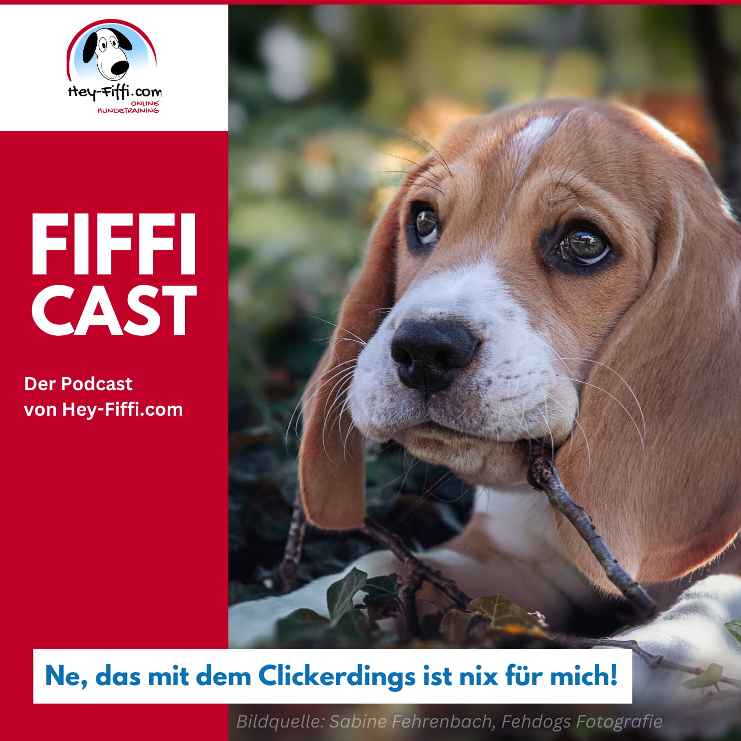 Hey-Fiffi.com