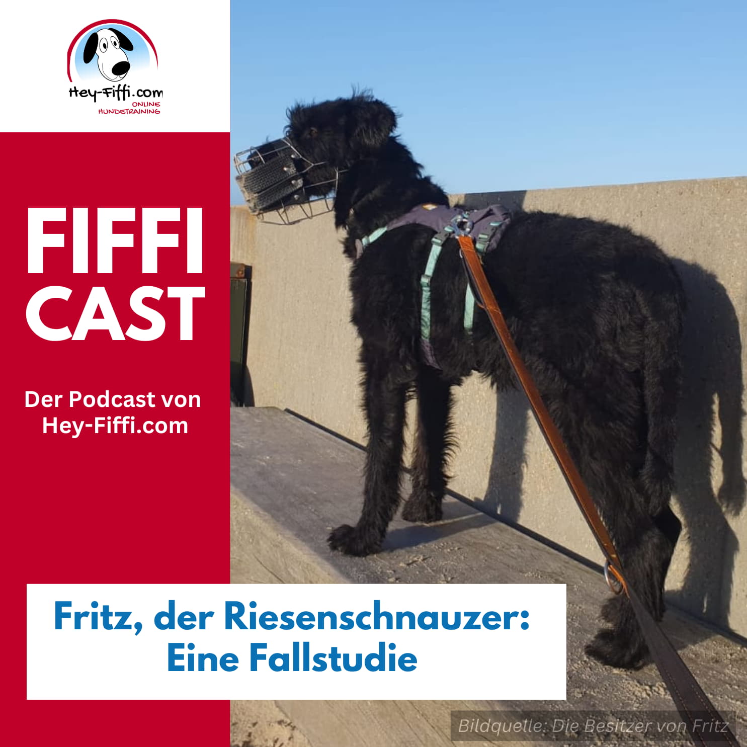 Hey-Fiffi.com
