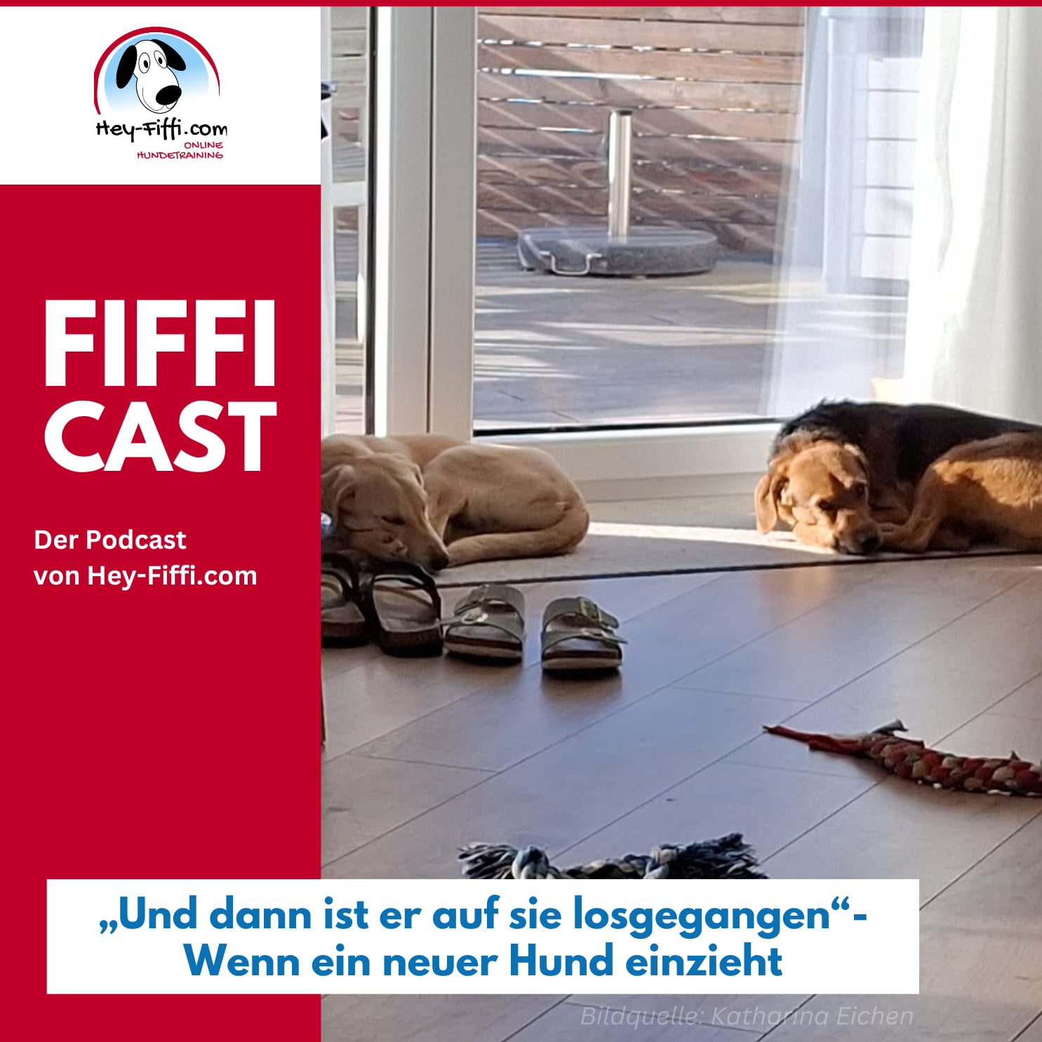 Hey-Fiffi.com