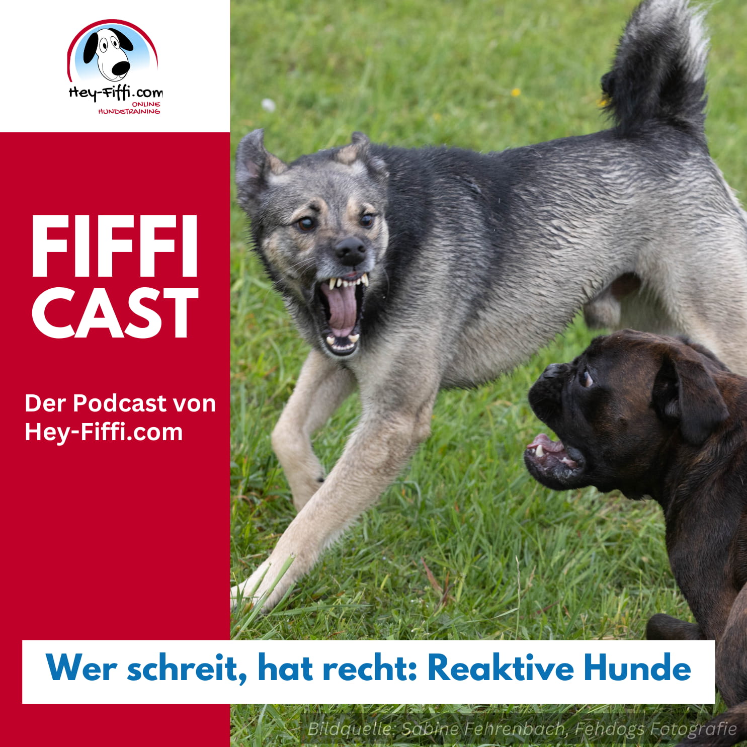 Hey-Fiffi.com